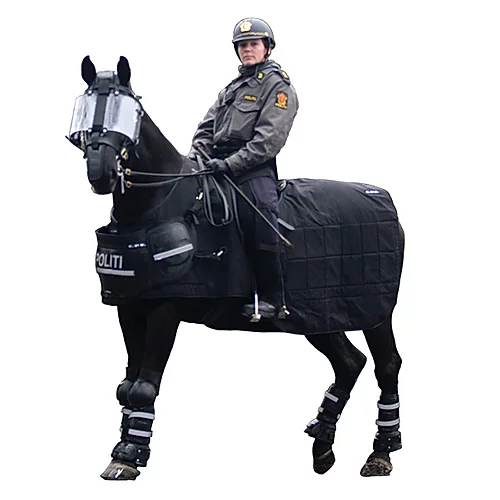 Riot Protection - Horse