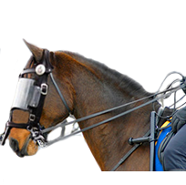 Mounted