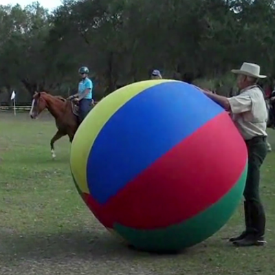 Crowd Control Training Balls