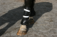 Police Horse Riot Protection - Rear Leg Protectors