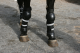 Police Horse Riot Protection - Front Leg Protectors