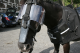 Police Horse Riot  Protection -  Nose Guard & Visor