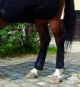 Tek's Police - Horse Rear Leg Protectors - High Impact Protection Riot Use: Per Pair