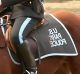 Tek's Police - US Parks - Saddle Pads