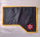 Standard Cavalry