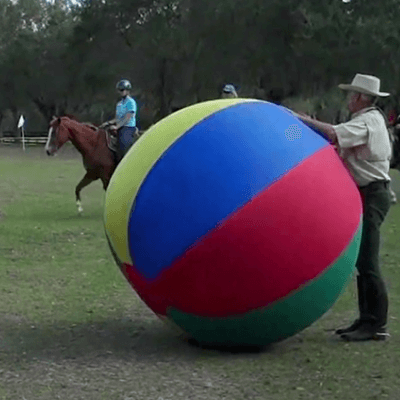 Mounted Training Balls