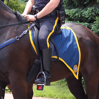 Mounted Breeches