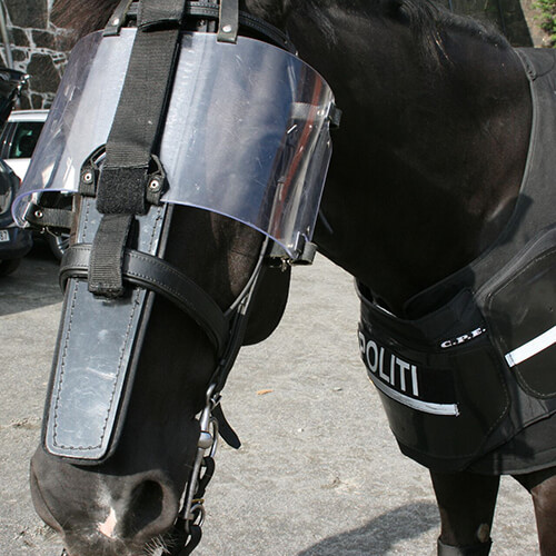 Mounted Police Equipment