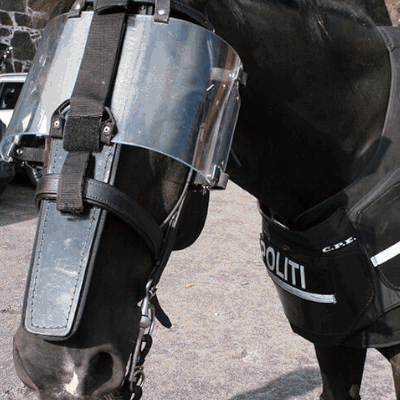 Mounted Police Equipment